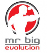 mr big logo paint